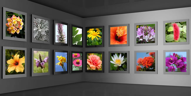 Fine Art Shipping Fine Artwork Shipping Mount Pleasant
